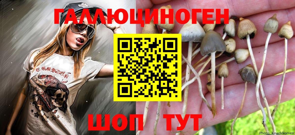 Магнитогорск  Галлюциногенные грибы Cubensis  Вход с VPN 